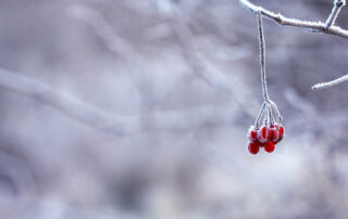 winter-exterior-painting