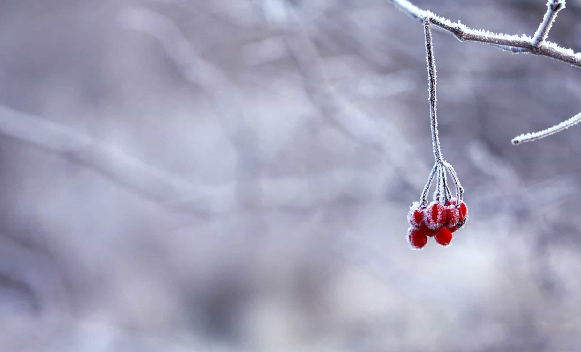 winter-exterior-painting