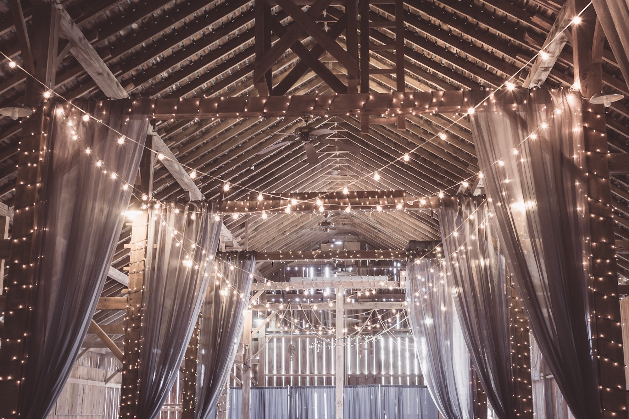 barn with string lights