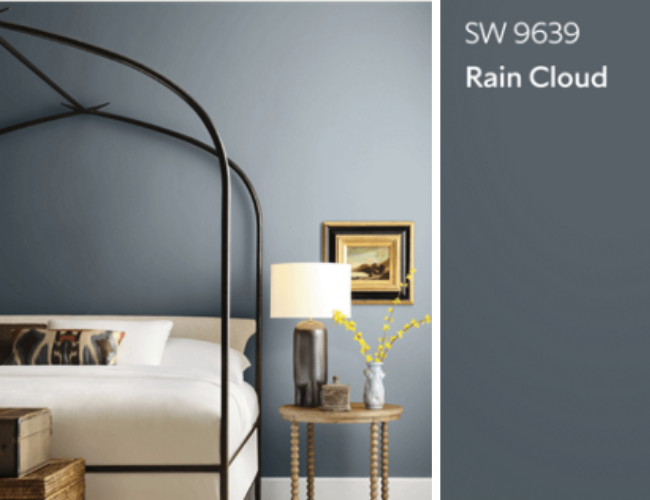 Rain Cloud SW 9639 trending home paint colors