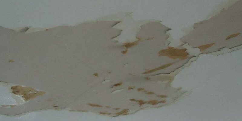 All-american-painting-plus-drywall-repair-moisture-instrustion-damaged-drywall-home-office-northern-va