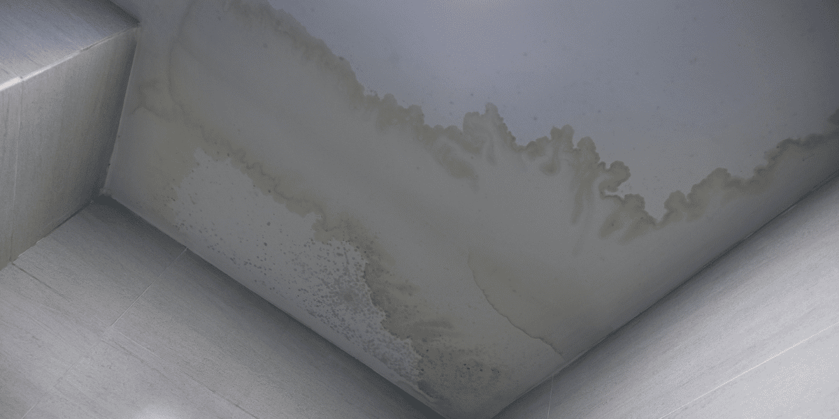 remove ceiling water stains remove ceiling water stains