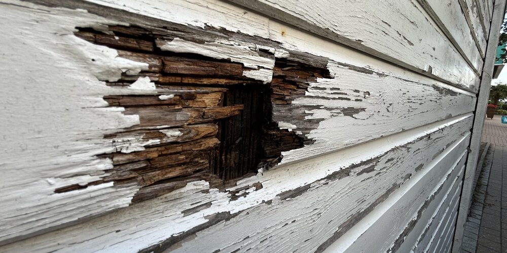 Weathered,Wood,Siding,With,Peeling,Paint,And,Rotting,Hole