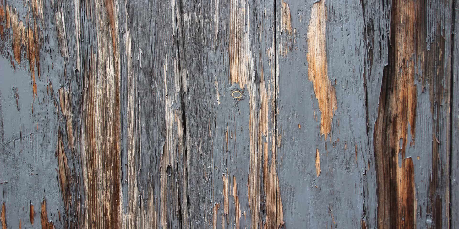 all-american-painting-plus-4-health-safety-risks-caused-by-rotting-wood