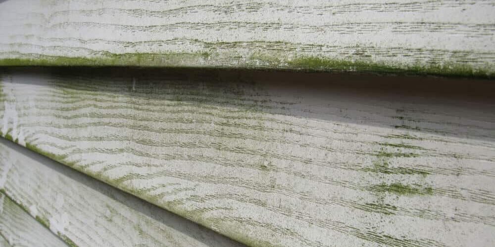 all-american-painting-plus-reston-va-house-painting-interior-painting