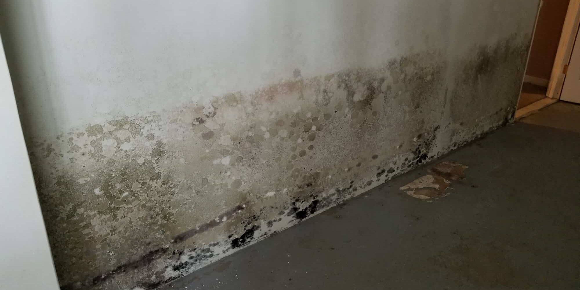 all-american-painting-plus-why-drywall-discolored-northern-va