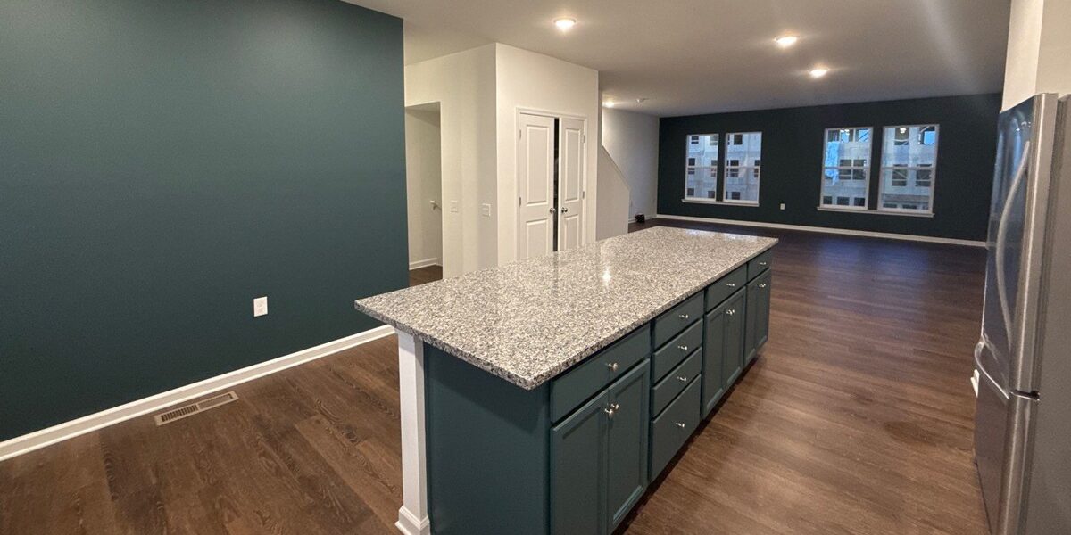 cabinet painting vs replacement